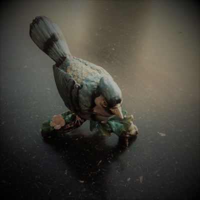 Blue BlueJay